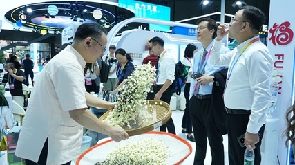 閩榕茶業(yè)亮相第四屆中國-非洲經(jīng)貿(mào)博覽會，推動茶業(yè)經(jīng)貿(mào)合作新篇章